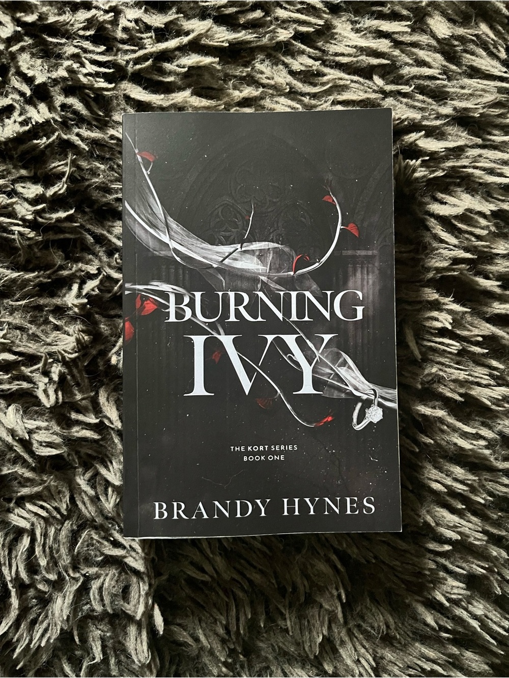 Burning Ivy by Brandy Hynes - Paperback Book